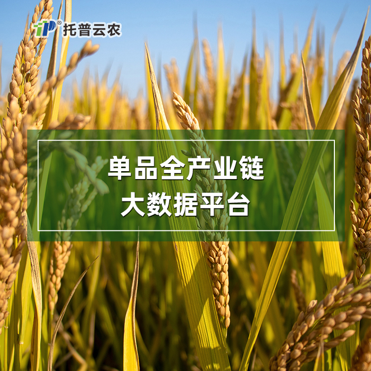 農(nóng)產(chǎn)品單品種全產(chǎn)業(yè)鏈大數(shù)據(jù)平臺建設(shè)方案