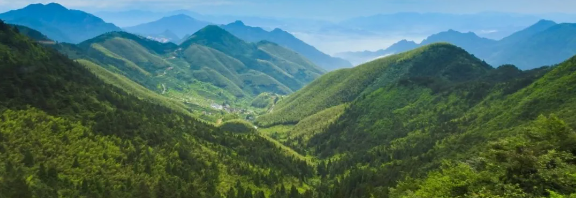 智慧護(hù)林有妙招，看太子山如何用科技守護(hù)森林