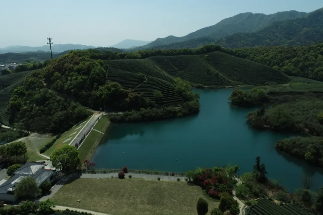 建設智慧生態(tài)茶園，托普云農(nóng)為西湖龍井茶“保駕護航”