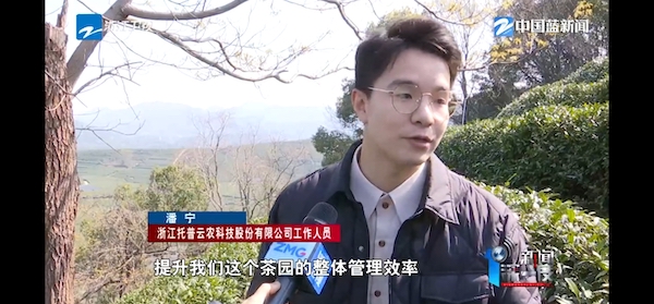 春茶開采正當(dāng)時(shí)！揭秘托普云農(nóng)如何用科技“制”出一杯數(shù)字好茶