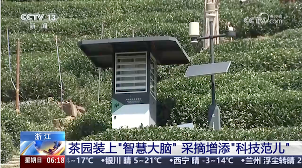 央視、人民網(wǎng)等權(quán)威媒體聚焦西湖龍井：托普云農(nóng)“黑科技”點(diǎn)亮千年茶香智變之路
