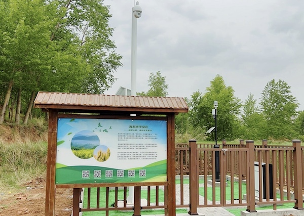 走進(jìn)國家級油菜夏繁基地，感受科技賦能蓬勃?jiǎng)恿?></a> </div>
          <div   id=