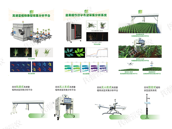 AI+農(nóng)業(yè)新突破！托普高通量植物表型智能分析平臺(tái)助力智慧農(nóng)業(yè)創(chuàng)新發(fā)展