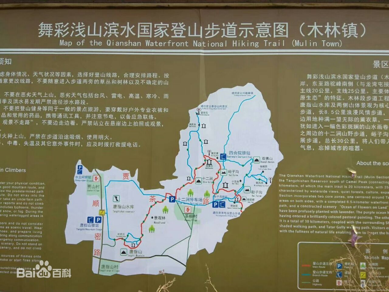 舞彩淺山租車指南.租車價(jià)格.租車電話